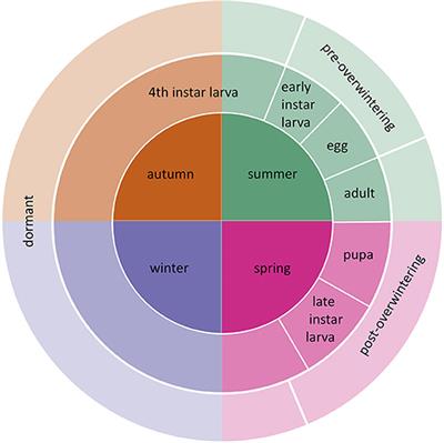 <mark class="highlighted">Heatwaves</mark> and Novel Host Consumption Increase Overwinter Mortality of an Imperiled Wetland Butterfly